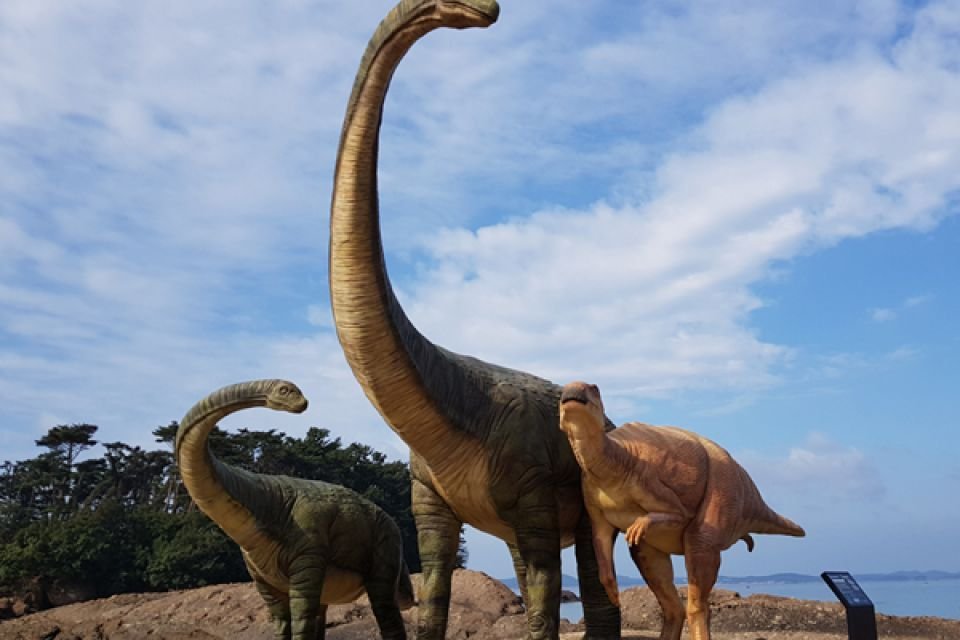 공룡발자국 화석 탐험